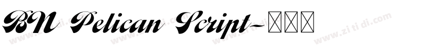 BN Pelican Script字体转换